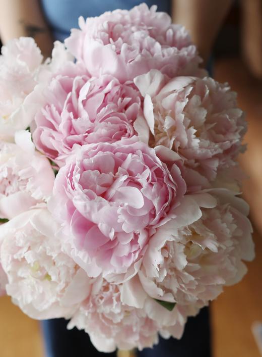 【预售！4.20起陆续发货】雪纺芍药【愿你到过世界尽头，依然好奇整个宇宙】 稀有少女粉  顺丰空运直发 商品图3