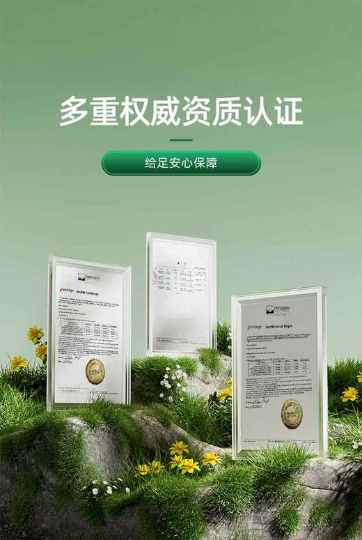 优氏陈皮姬松茸片 美国原装进口 专注肺部营养 畅快呼吸 商品图13