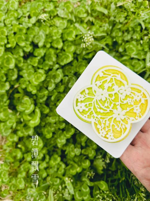 碧潭飘雪 商品图0