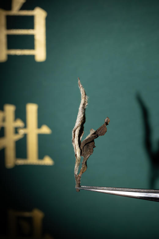 2020年 闽白时代·白牡丹 中雄御品180g/盒（5g*36泡) 商品图1