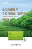 【2025年新茶春茶到货！】明前特级茶叶小罐茶大师系列金罐龙井茶15罐装特级绿茶礼盒装 商品缩略图2