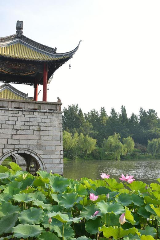 盛世风采 · 华龄绽放，2025首届中老年才艺展演大会，银龄时代，感受艺术绽放的青春 商品图3