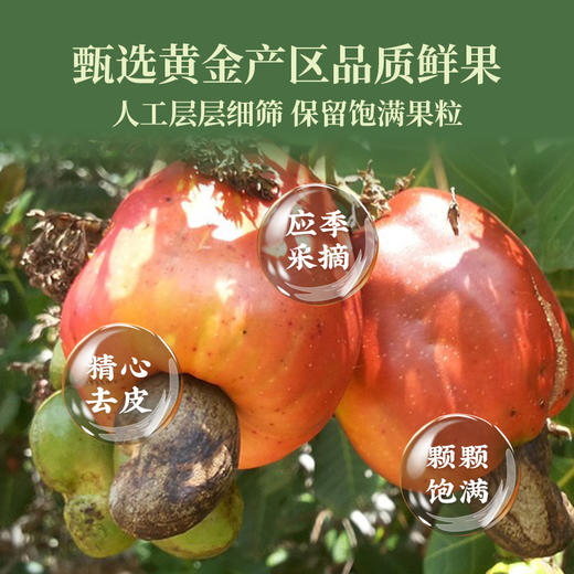 太丰腰果黄瓜味150g 甄选整粒饱满优果 独立包装 商品图2