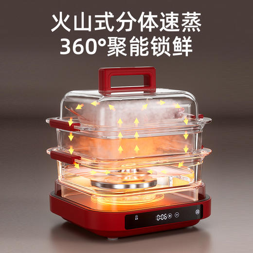 大宇玻璃电蒸锅炖煮多功能家用一体蒸笼S31 商品图4
