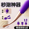 谜姬挑逗点潮笔紫色震动棒成人用品情趣玩具女用器入体 商品缩略图2