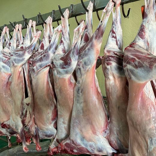 【顺丰/京东】新疆羔羊肉  新疆新鲜排酸乳羔羊肉组合装  羊排+羊腿+羊蝎子 新疆发货AWJM 商品图1