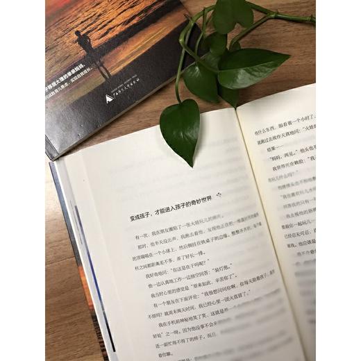 【独秀书香卡】神秘岛·看风的孩子，谢谢你成全了我 6~14岁及以上 儿童教育 商品图7