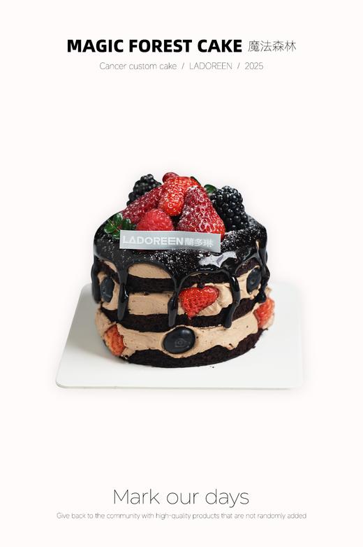 魔法森林4寸（车厘子下市换其他应季水果） 商品图0