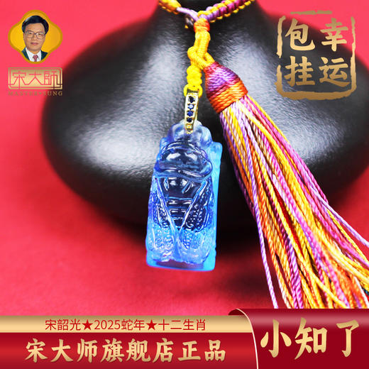 宋韶光大师  文昌塔葫芦锦鲤知了貔貅古法琉璃幸运包挂 商品图4