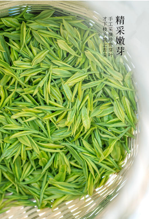 [2025新茶] 正宗西湖龙井茶  明前头茬特级精品  芽叶肥嫩  鲜爽甘醇（正宗西湖龙井，认准官方茶标） 商品图1