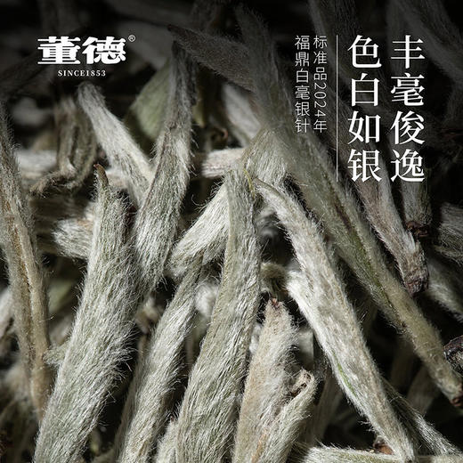 福鼎白茶 白毫银针  250g/盒 商品图3