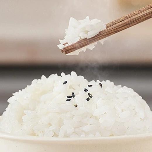 【京东/顺丰】珍粒香 泰国茉莉香米 绿标款 一年一季 泰国原装进口 日期新鲜 5kg - 珍粒香 商品图2