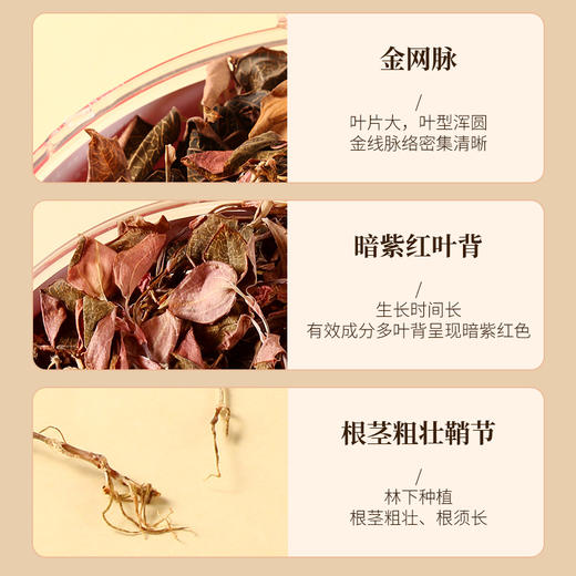 【精品礼盒装】金线莲整株原茶 福建漳州林下高品质金线莲 15项专业机构检测认证 0农残更安心 商品图2