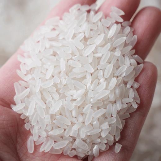 【邻家饭香&有机五常大米稻花香2号】🔥 五常大米核心产区，中国国家地理标志产品‼️煮出来的米饭柔软蓬松，弹软滑嫩，口感清甜！  ✅米饭🍚晶莹剔透，入口软糯甘甜不粘牙！ 商品图1