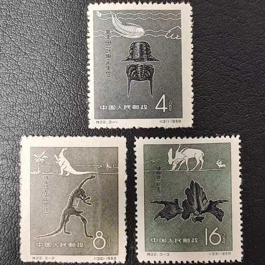 预定！纪33、特1/2/8/10/11/12/18/22/25/29（上世纪发行）精稀老纪特邮票 商品图2