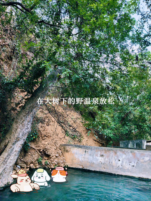 云南｜3.21-3.22怒江漂流徒步2天1晚，冬季碧蓝怒江/高黎贡山百花岭徒步/瀑布飞流季雨林/天然森林野温泉/双虹桥/潞江坝，趣野星球摄影师带队小团！ 商品图4