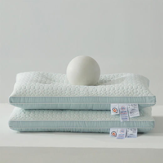 自然醒小冰皮凉感乳胶枕芯家用一对护颈椎枕助睡眠酒店学生宿舍夏凉枕头小整头男XK 商品图1