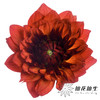 配花 | 大丽花魅力夫人 商品缩略图0