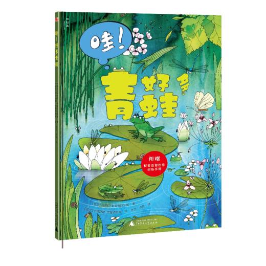 【独秀书香卡】“哇！好多”手工益智书系  哇！好多青蛙  智力游戏  儿童读物 绘本 商品图0