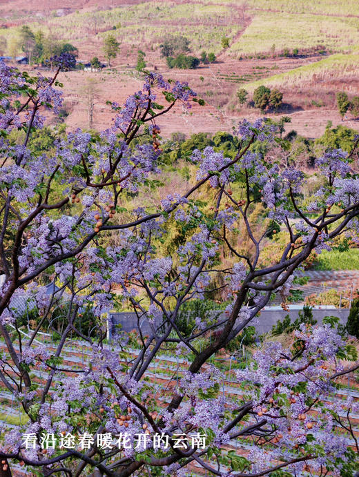 云南｜3.21-3.22怒江漂流徒步2天1晚，冬季碧蓝怒江/高黎贡山百花岭徒步/瀑布飞流季雨林/天然森林野温泉/双虹桥/潞江坝，趣野星球摄影师带队小团！ 商品图12