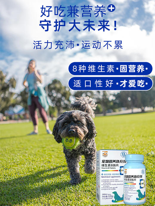 合宠(维生素B族片) 商品图7