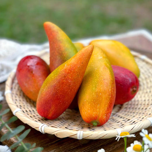 【分仓直发包邮】海南辣椒芒2斤装（1斤约10个） 商品图1