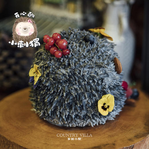 开心的小刺猬 商品图2