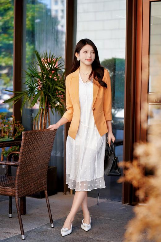 XL1XXL1臣禾	【刺绣真丝裙】  V领中长款连衣裙	JZ251020138 商品图3