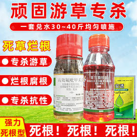 抗性顽固游草油草专杀套餐稻李氏禾专杀除草剂死根灭草剂正品农用