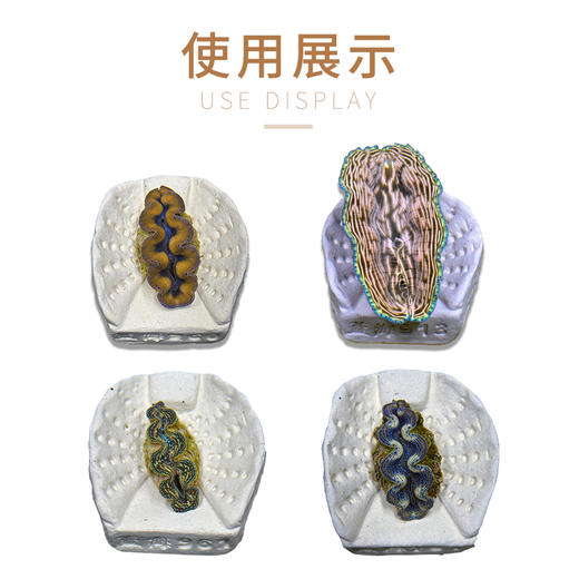 砗磲底座 商品图4