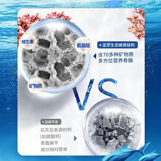 优雅乐&康叶 海藻粉  30条/盒 海藻的力量 商品图2