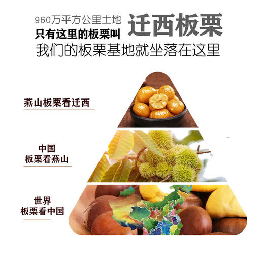 【分仓直发包邮】凤凰人家迁西有机板栗仁50g*3袋 商品图4