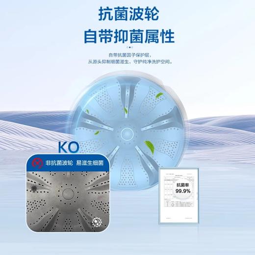 海尔波轮洗衣机12kg家用全自动超大容量抗菌除螨Z33mate1 商品图3