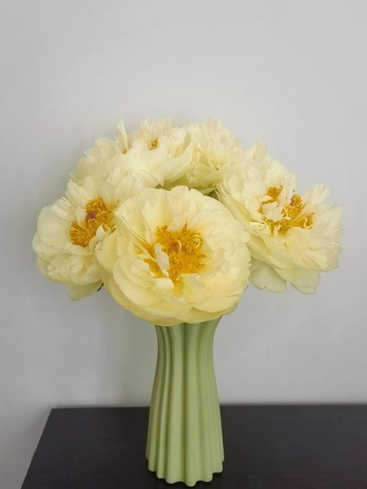 【预售！4.20起陆续发出】柠檬雪纺【人间四月天，芍药铺庭前】简小姐精选柠檬黄色新品 柠檬雪纺 2件包邮 顺丰空运 商品图7