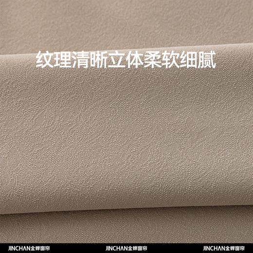 【朝花夕拾】金蝉高精密轻奢暗纹提花窗帘 商品图1