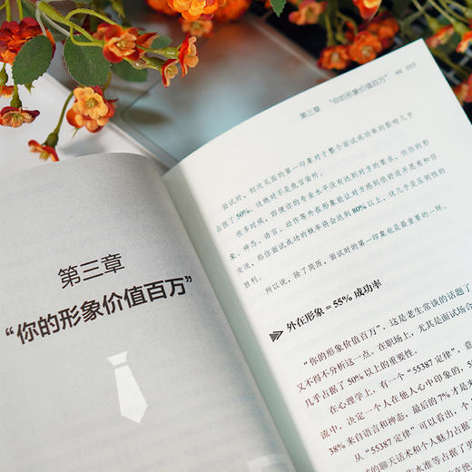 超级面霸：高薪OFFER的面试技巧 商品图3