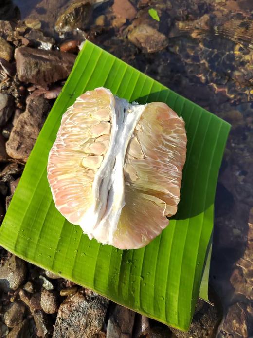 【生态种植云南青柚】口感清甜 水分饱满 好吃健康 生态种植无黑科技柚子！外观丑丑的介意慎拍 商品图8