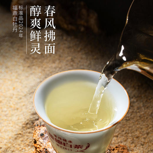 福鼎白茶  牡丹 500g/盒 商品图5