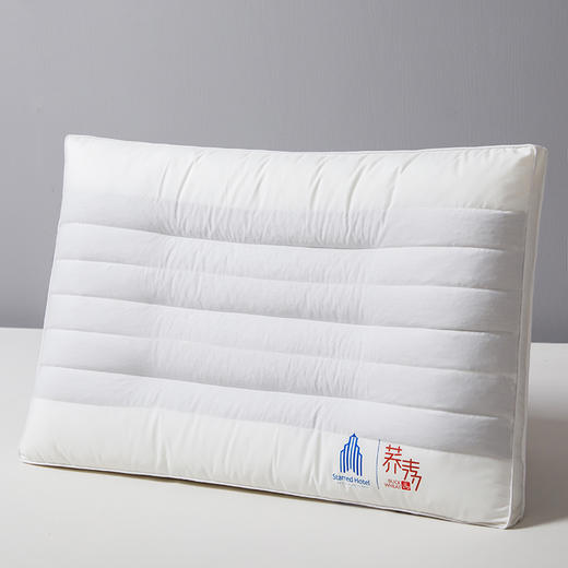 自然醒全棉酒店荞麦枕头枕芯助睡眠护颈椎专用五星酒店家用套装一对成人男定型XK 商品图14