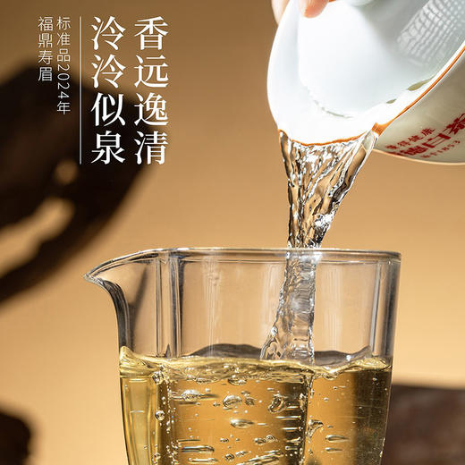福鼎白茶 寿眉  500g/盒 商品图5