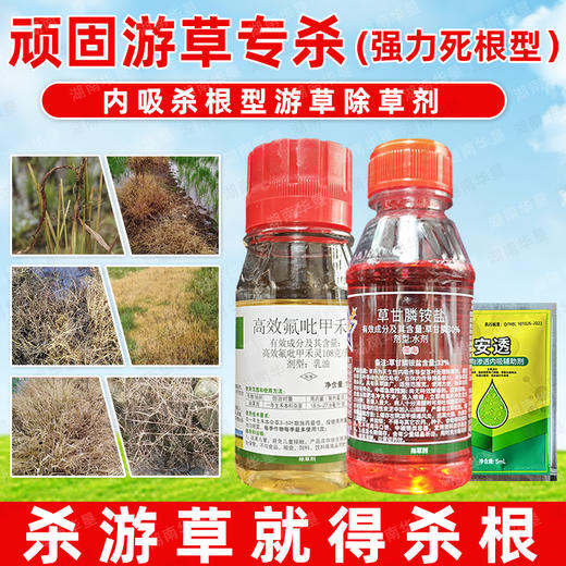 抗性顽固游草油草专杀套餐稻李氏禾专杀除草剂死根灭草剂正品农用 商品图2