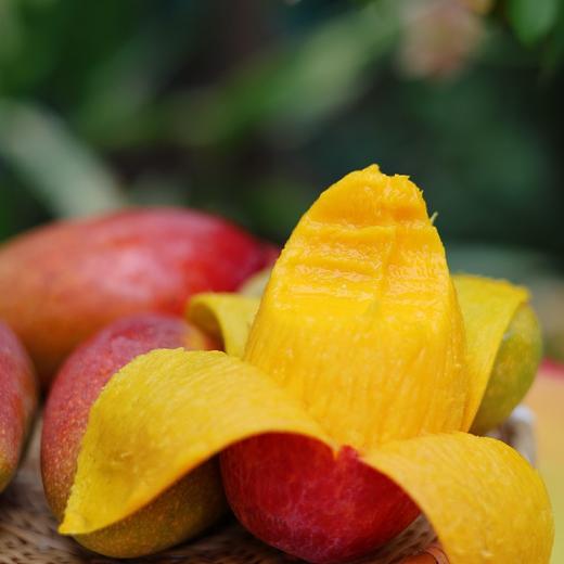 石家庄优选仓库速达，海南贵妃芒，树上自然熟，入口无渣、香甜丝滑、皮薄核薄，净重4斤礼盒装 商品图1