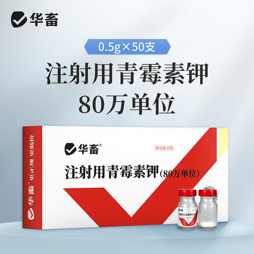 华畜兽药80万单位青霉素钾注射用猪牛羊猫狗鸡鸭抗菌消炎混合感染 商品图0