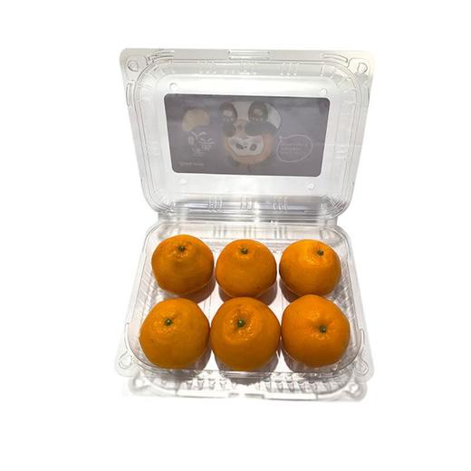 耙耙柑6粒900g/份 商品图4