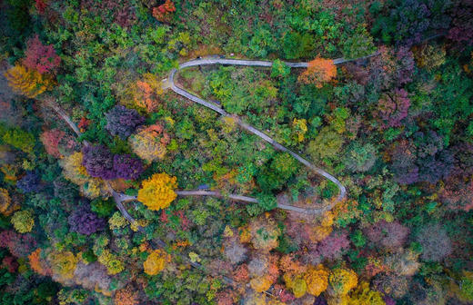 2025氧气旅行团——“春游余姚 花‘漾’宠你”四明山之旅 商品图4