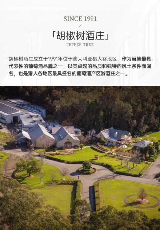 完税  澳大利亚酒  胡椒树单一园系列奥兰治维纳斯田霞多丽干白葡萄酒2022 商品图2