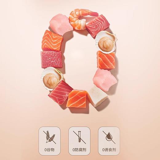 顽皮猫咪零食猫条成幼猫湿粮欧一吸100支整箱营养补水鲜包猫罐头 商品图1