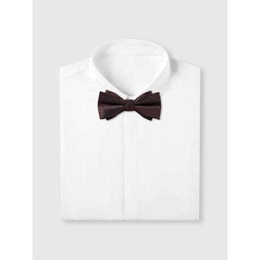 GXG领结男士热卖燕尾服配饰蝴蝶结咖色商务宴会婚礼伴郎双层 商品图3