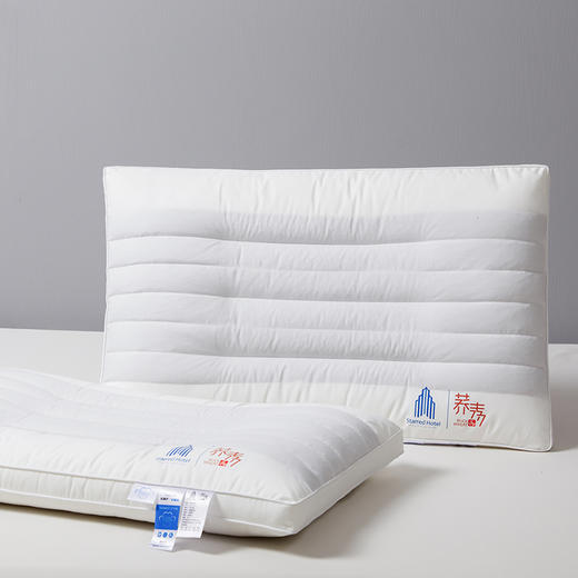 自然醒全棉酒店荞麦枕头枕芯助睡眠护颈椎专用五星酒店家用套装一对成人男定型XK 商品图13
