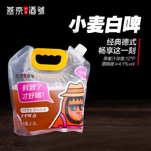 燕京原浆鲜啤-品味经典（3种口味，共5.5L） 商品图1